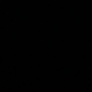 Meet your Posher, Ali